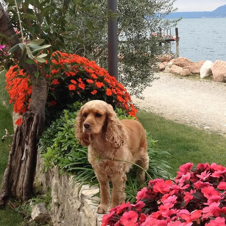 Guest house Locanda Fassa Brenzone sul Garda